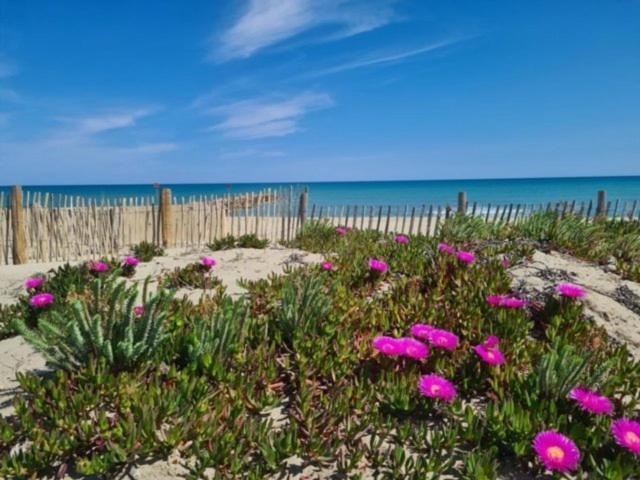 Confortable Studio Cabine - Acces Plage- Vue Mer 4Tvp38 Le Barcarès Exteriör bild